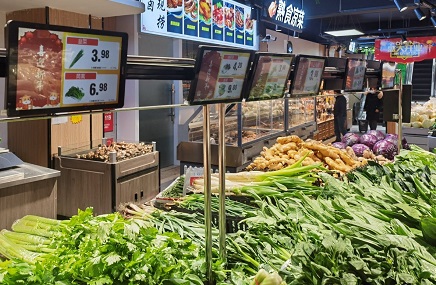 wz25072202 wz25072202